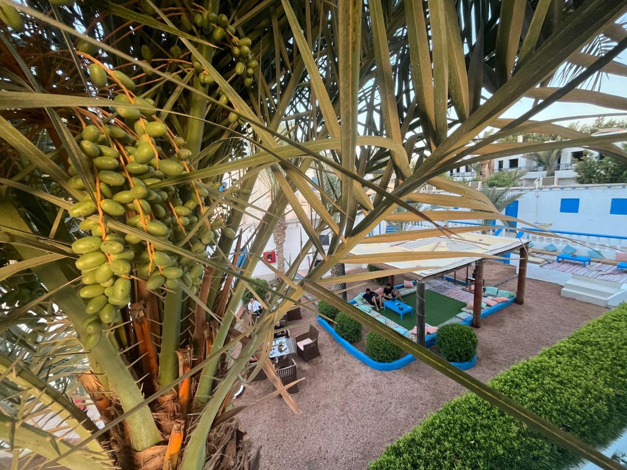 Auski Hostel Dahab Dış mekan fotoğraf